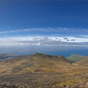 Meet your Posher, Maggie